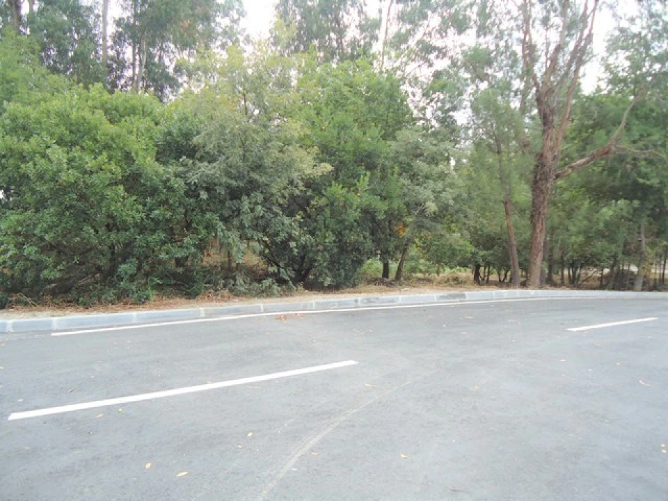 Terreno para Venda em São Cipriano e Vil de Souto Foto 3