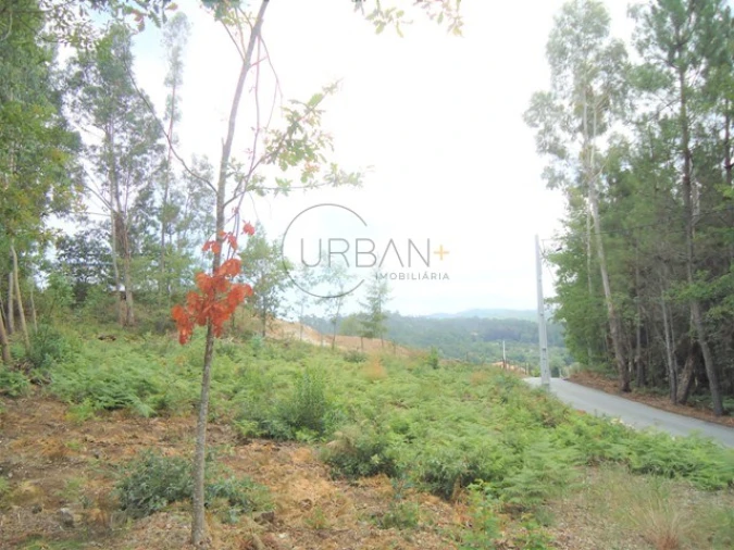Terreno para Venda em São Cipriano e Vil de Souto Foto 1