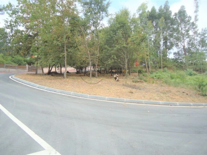 Terreno para Venda em São Cipriano e Vil de Souto Foto 2