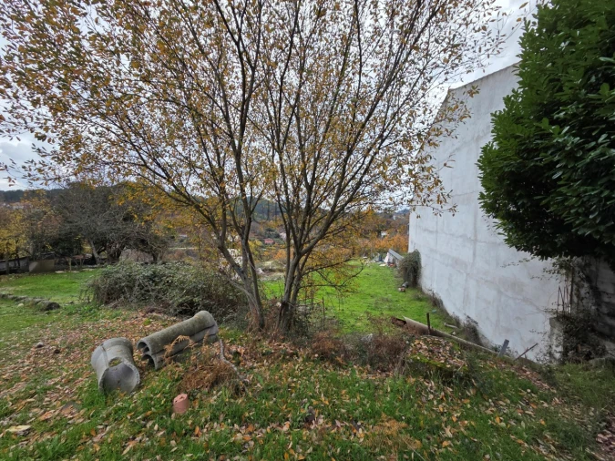 Terreno para Venda em Castro Daire Foto 3