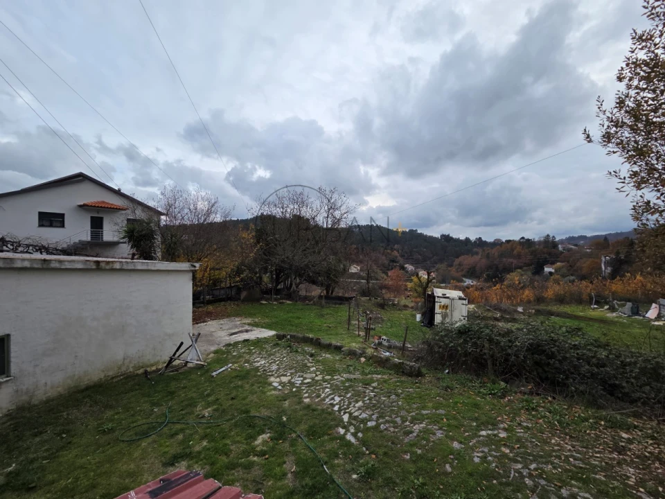 Terreno para Venda em Castro Daire Foto 3