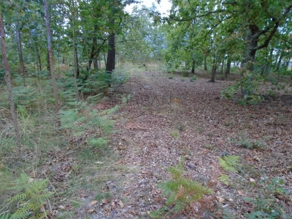 Terreno para Venda em Boa Aldeia, Farminhão e Torredeita Foto 2