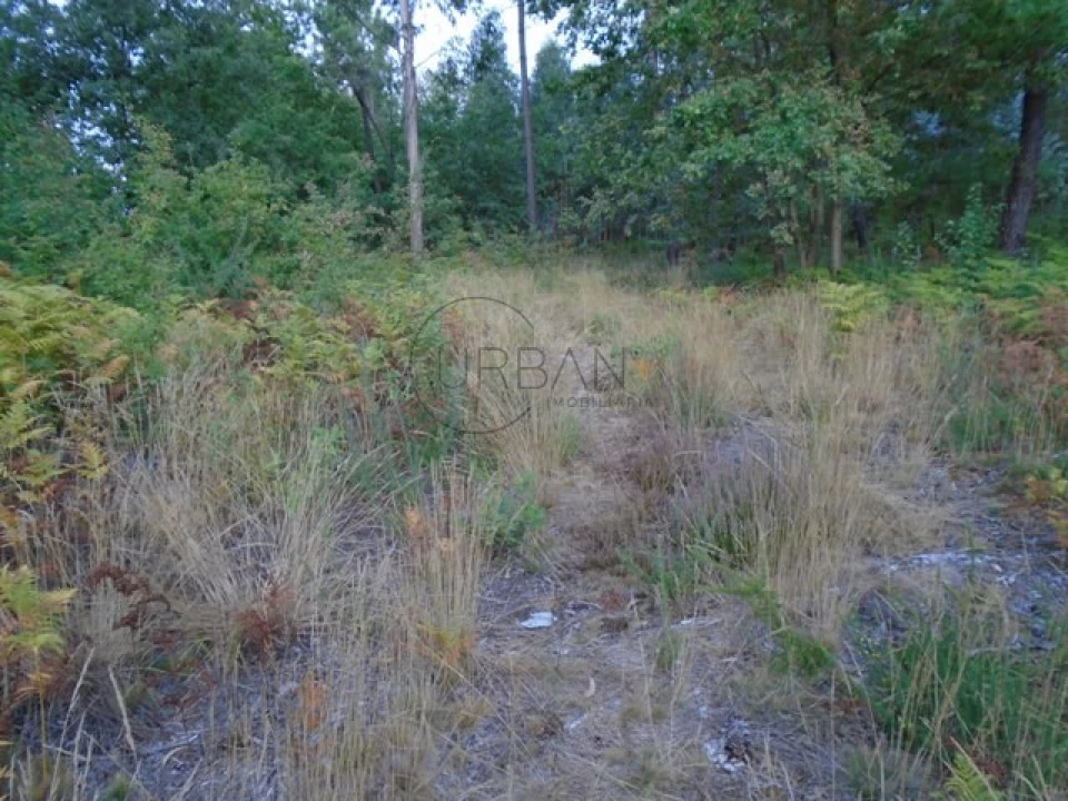 Terreno para Venda em Boa Aldeia, Farminhão e Torredeita Foto 3