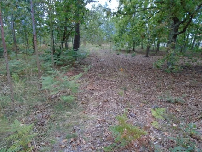 Terreno para Venda em Boa Aldeia, Farminhão e Torredeita Foto 2