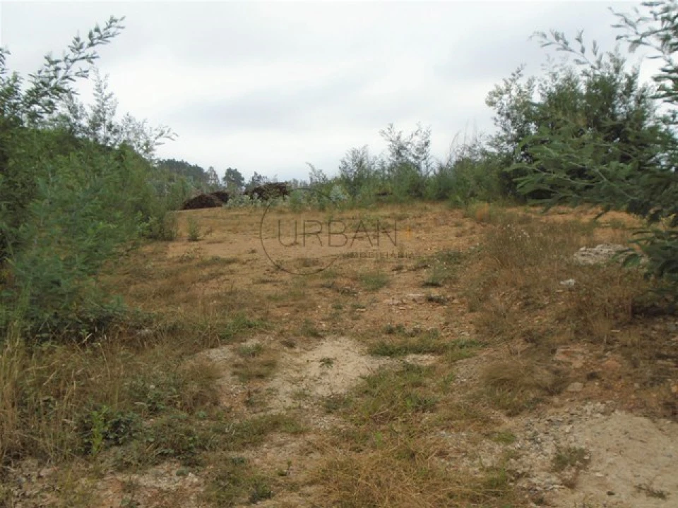 Terreno para Venda em Talhadas Foto 1