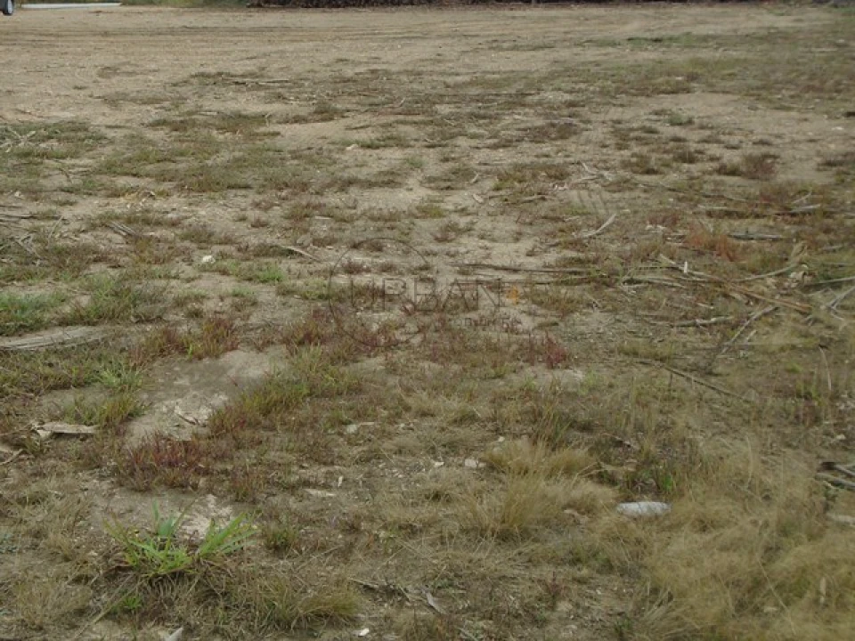 Terreno para Venda em Talhadas Foto 3