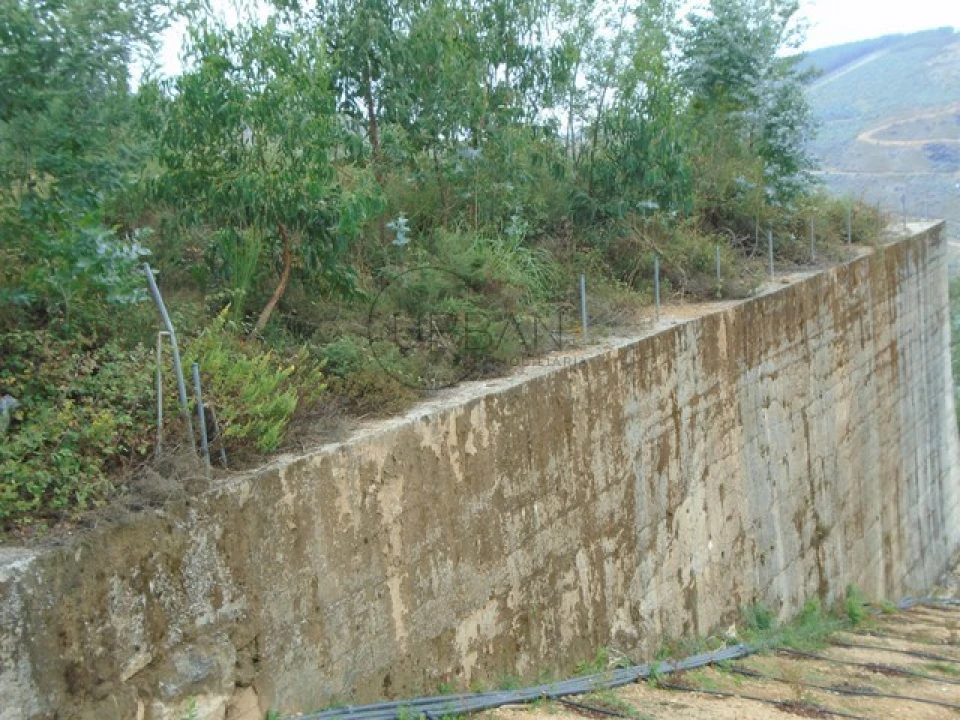 Terreno para Venda em Talhadas Foto 4