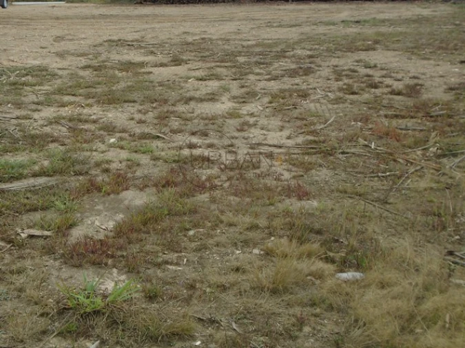 Terreno para Venda em Talhadas Foto 3