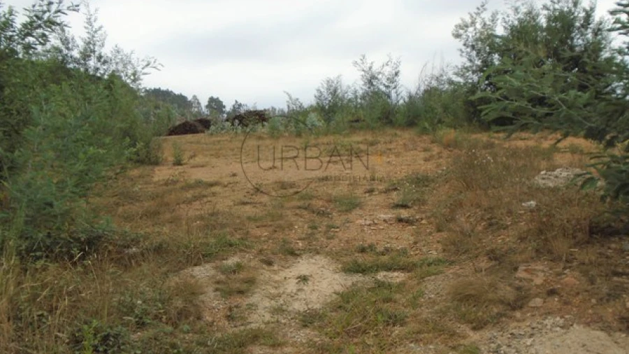 Terreno para Venda em Talhadas