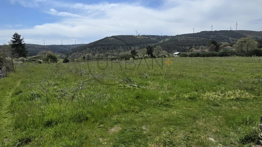 Terreno para Venda em Leomil
