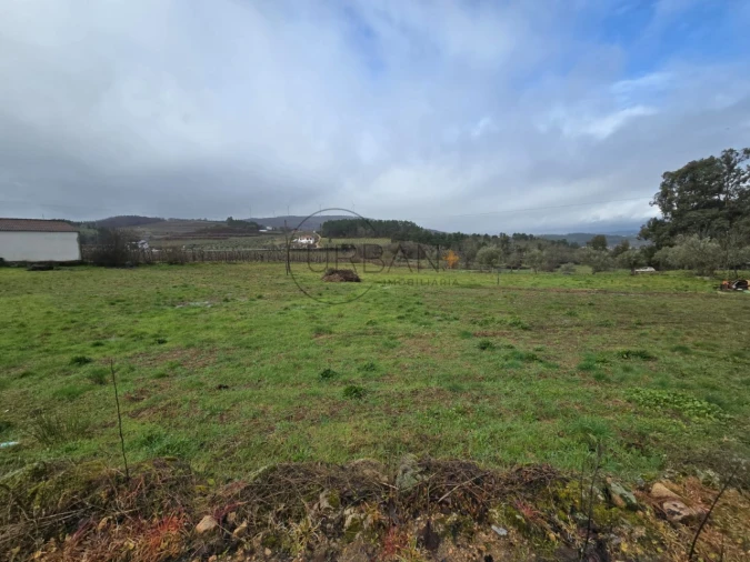 Terreno para Venda em Rua Foto 3