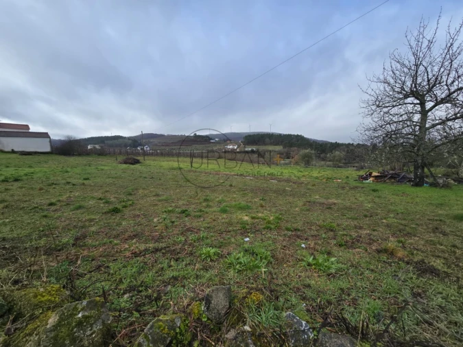 Terreno para Venda em Rua Foto 4