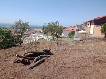 Terreno para Venda em Areosa