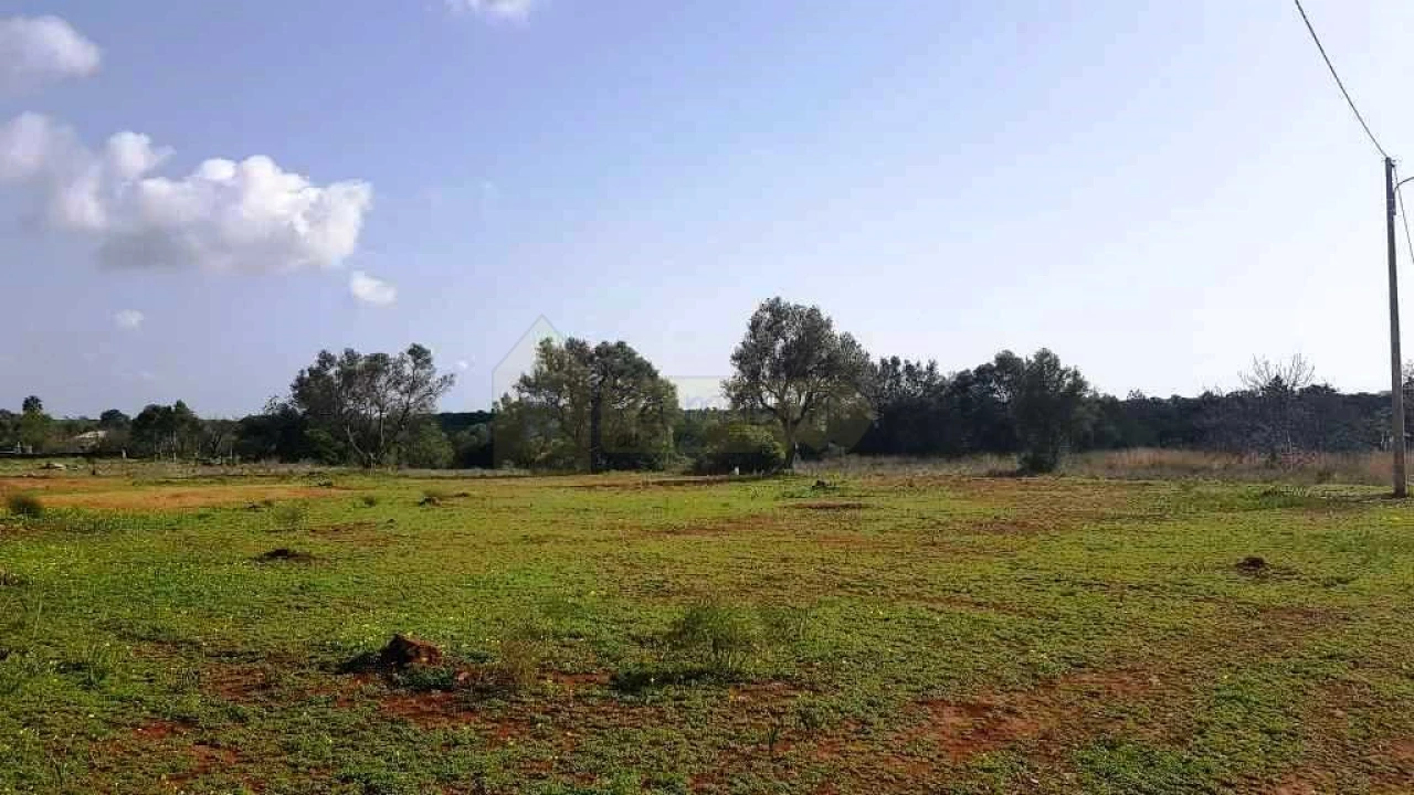 Terreno para Venda em Almancil Foto 15