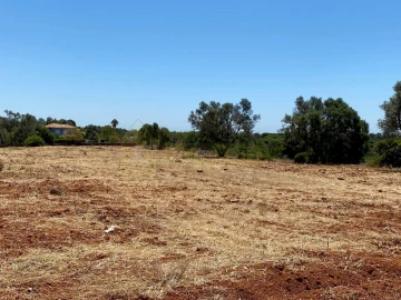 Terreno para Venda em Almancil