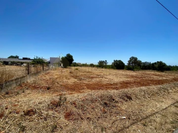 Terreno para Venda em Almancil