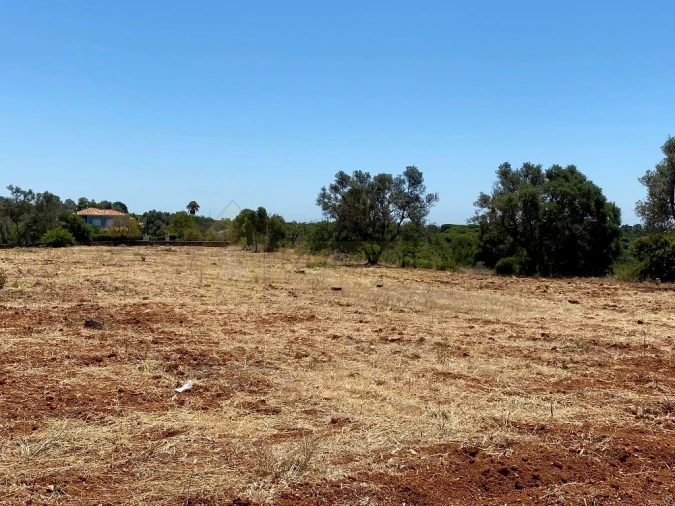 Terreno para Venda em Almancil Foto 11