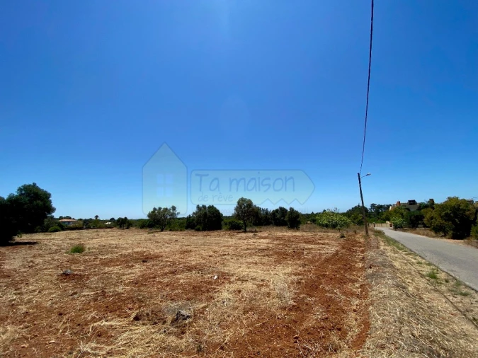 Terreno para Venda em Almancil Foto 12