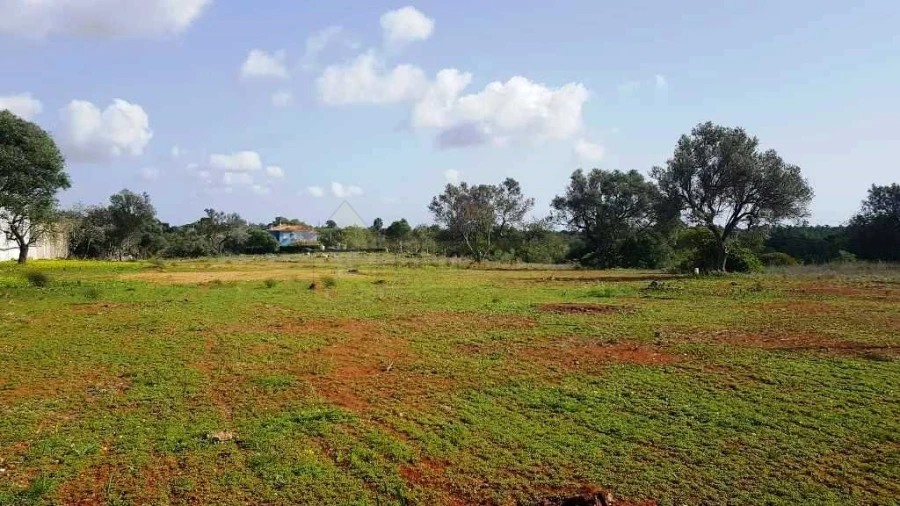 Terreno para Venda em Almancil Foto 14