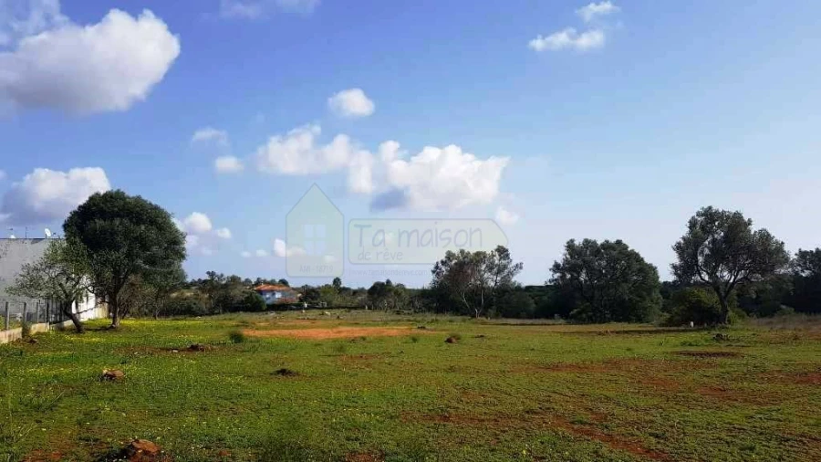 Terreno para Venda em Almancil Foto 16