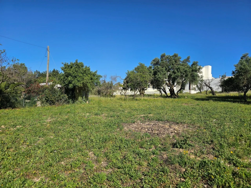 Terreno para Venda em Santa Barbara de Nexe Foto 8