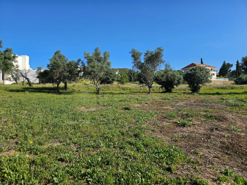 Terreno para Venda em Santa Barbara de Nexe Foto 10