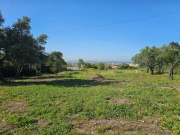 Terreno para Venda em Santa Barbara de Nexe