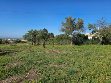 Terreno para Venda em Santa Barbara de Nexe
