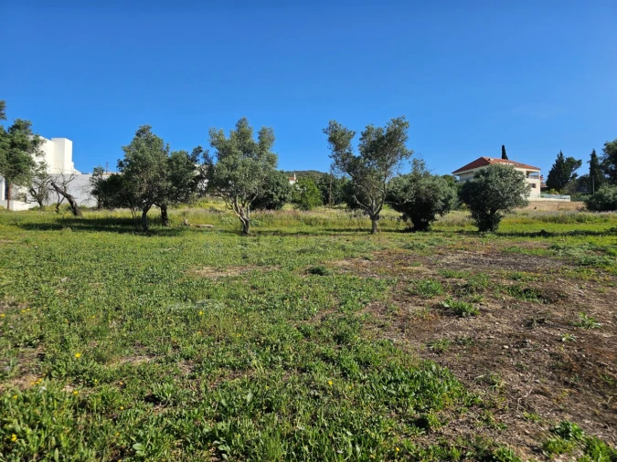 Terreno para Venda em Santa Barbara de Nexe Foto 10