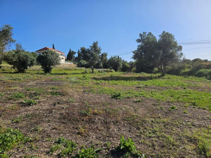 Terreno para Venda em Santa Barbara de Nexe Foto 11