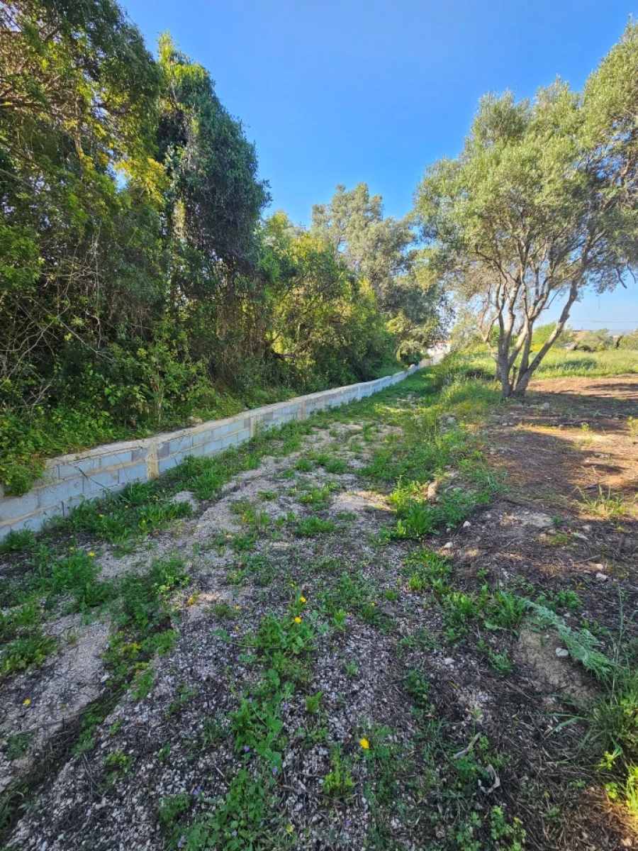 Terreno para Venda em Santa Barbara de Nexe Foto 12