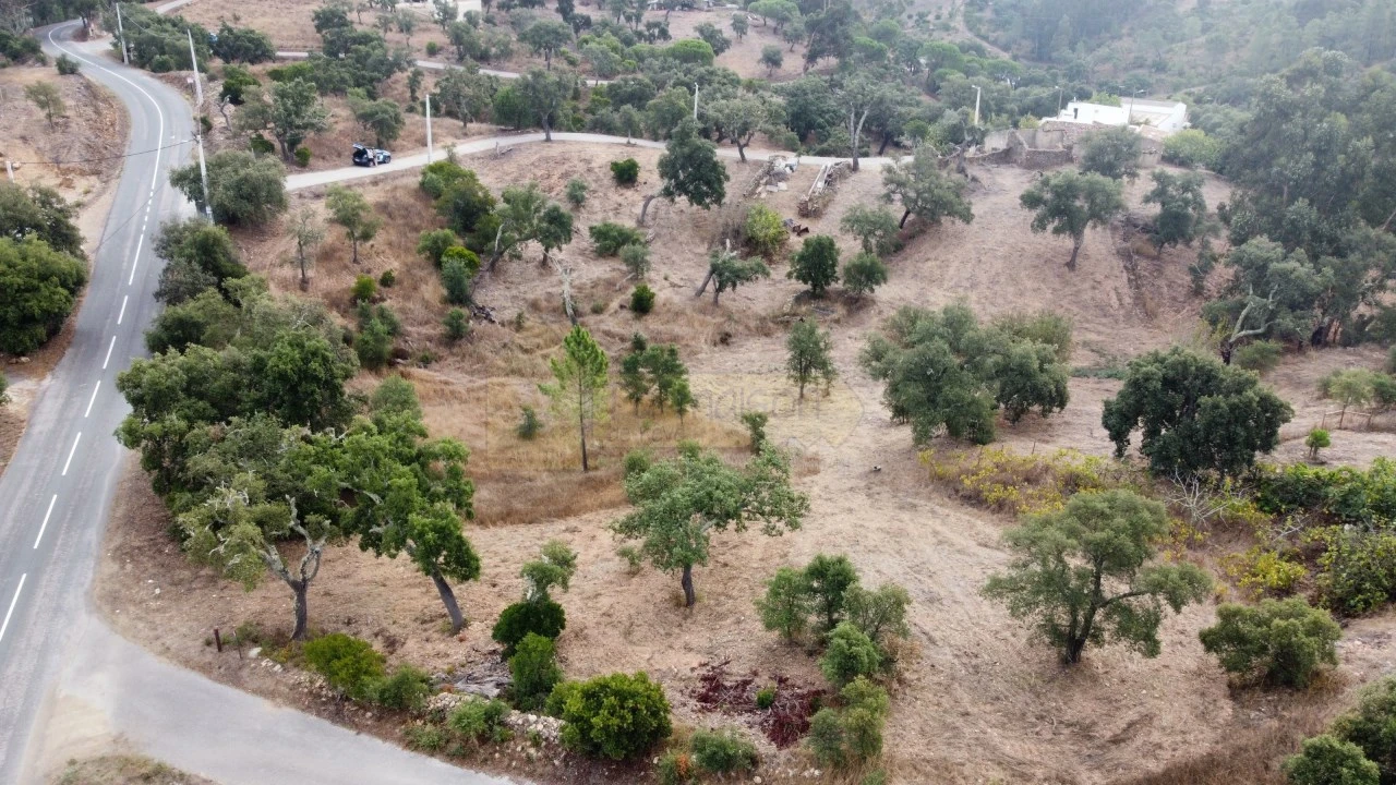 Terreno para Venda em São Brás de Alportel Foto 6