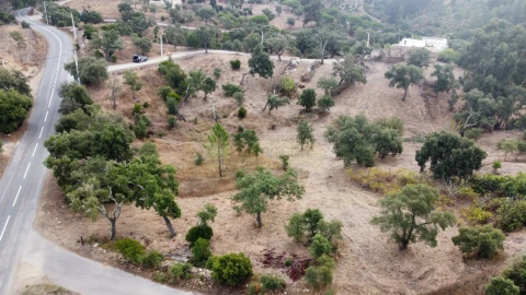 Terreno para Venda em São Brás de Alportel