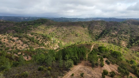 Terreno para Venda em São Brás de Alportel