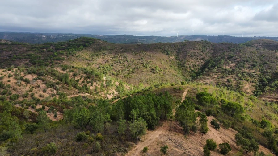 Terreno para Venda em São Brás de Alportel Foto 14