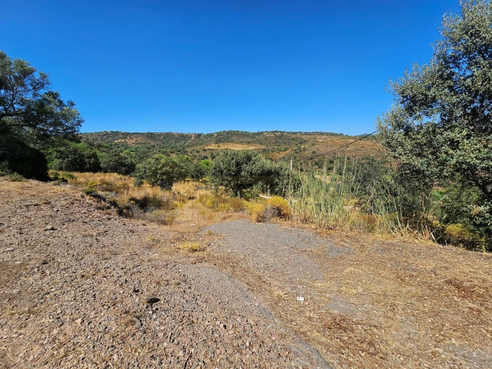 Terreno para Venda em Querença, Tôr e Benafim Foto 3