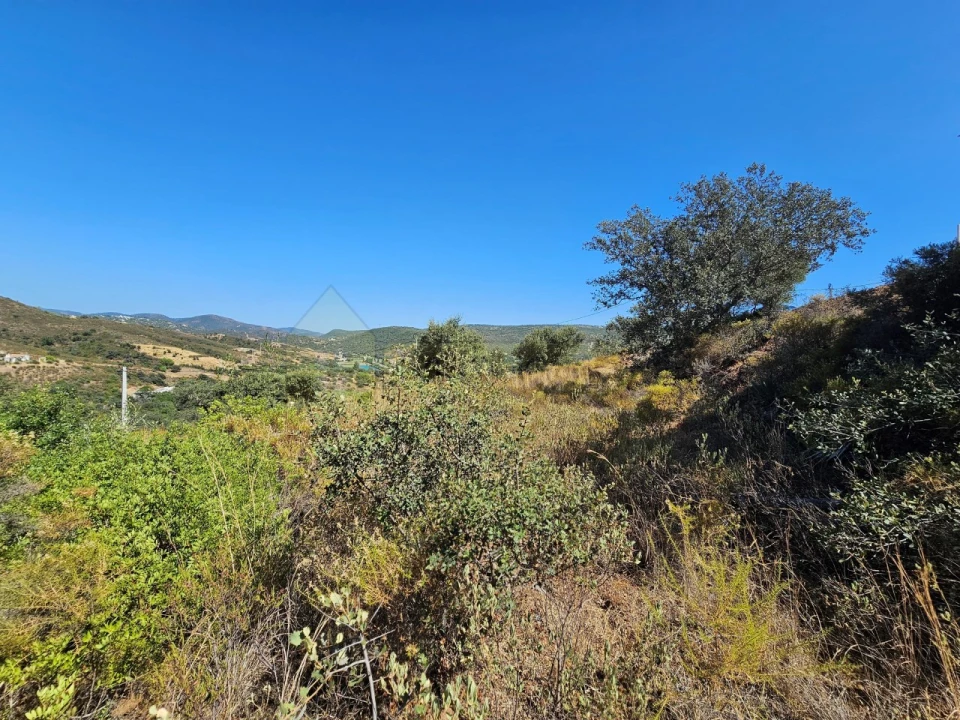 Terreno para Venda em Querença, Tôr e Benafim Foto 8