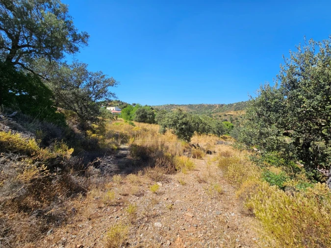 Terreno para Venda em Querença, Tôr e Benafim Foto 5