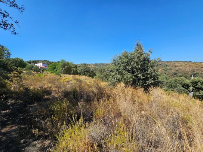 Terreno para Venda em Querença, Tôr e Benafim Foto 7