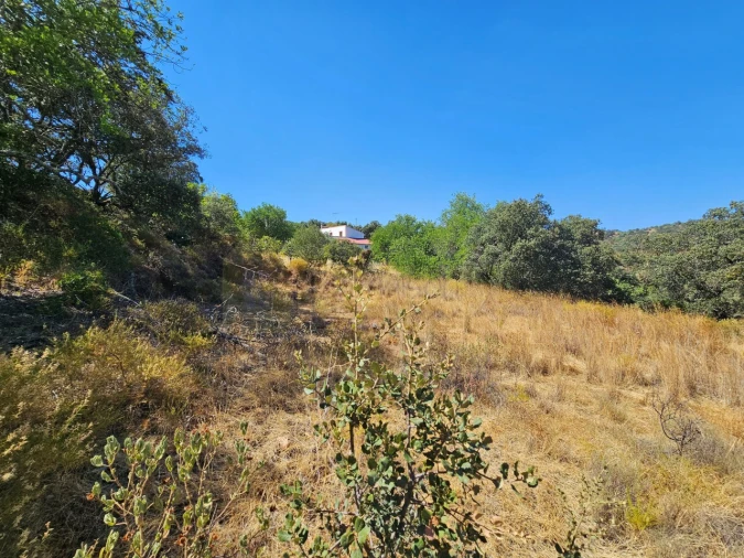 Terreno para Venda em Querença, Tôr e Benafim Foto 9