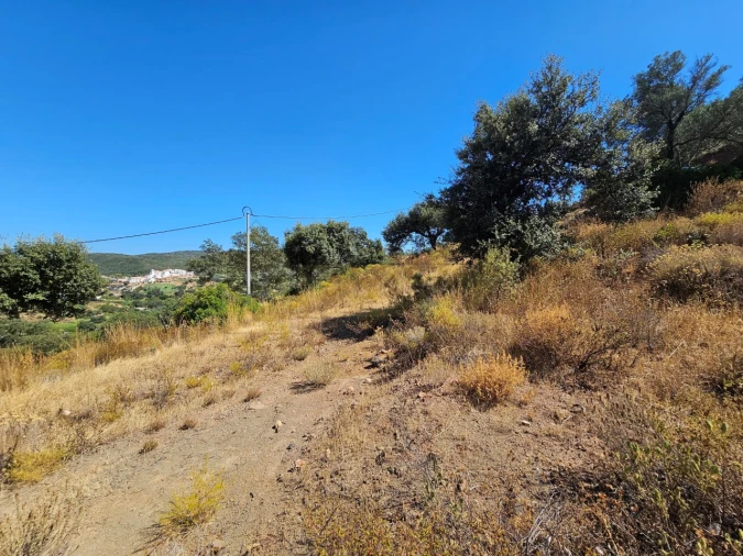 Terreno para Venda em Querença, Tôr e Benafim Foto 15