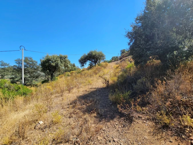 Terreno para Venda em Querença, Tôr e Benafim Foto 16