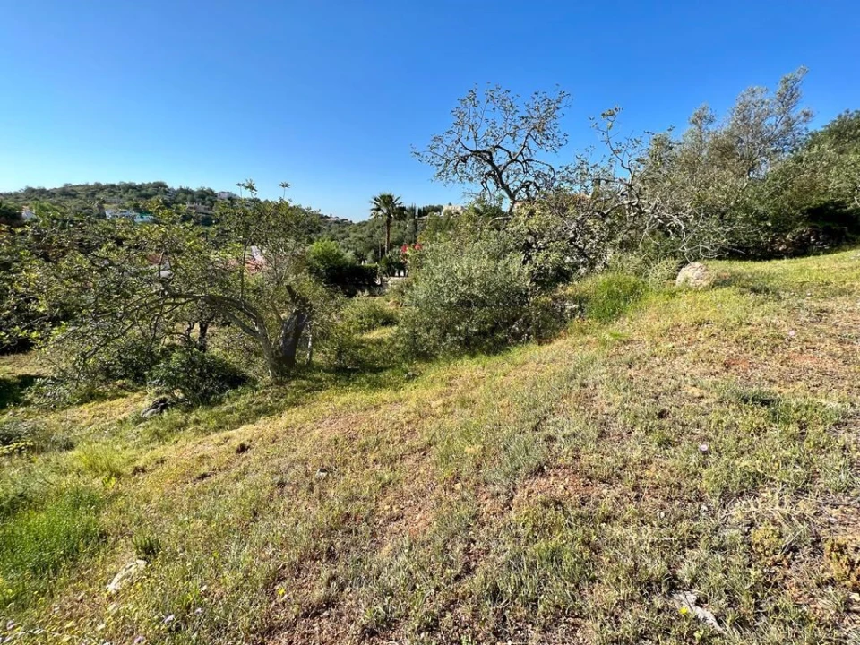 Terreno para Venda em Loule (São Clemente) Foto 12