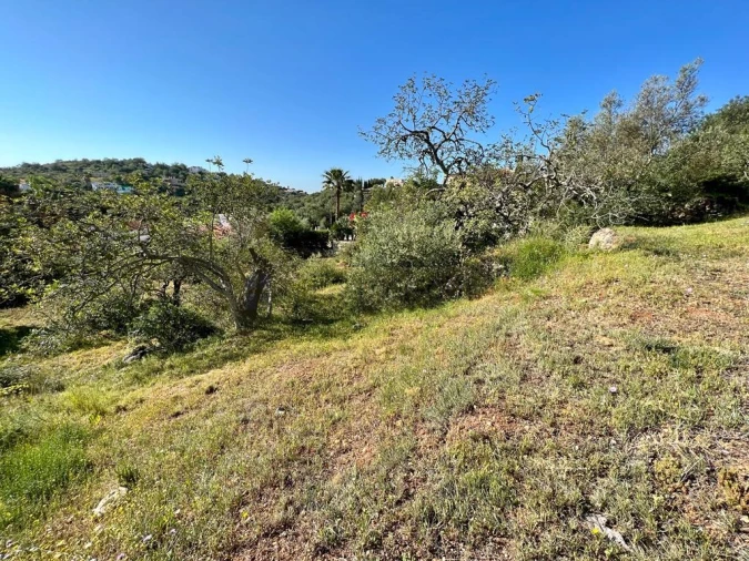 Terreno para Venda em Loule (São Clemente) Foto 12