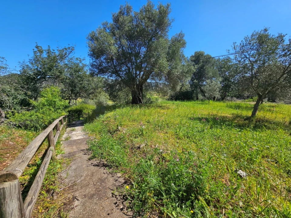 Terreno para Venda em Salir Foto 9