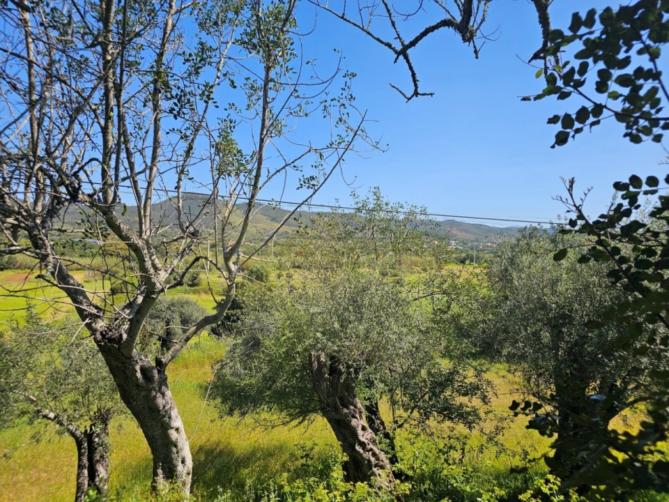 Terreno para Venda em Salir Foto 10