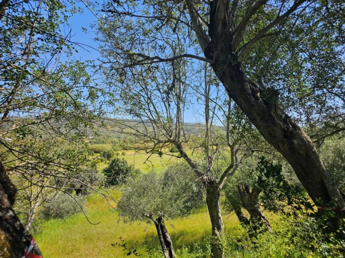 Terreno para Venda em Salir Foto 8