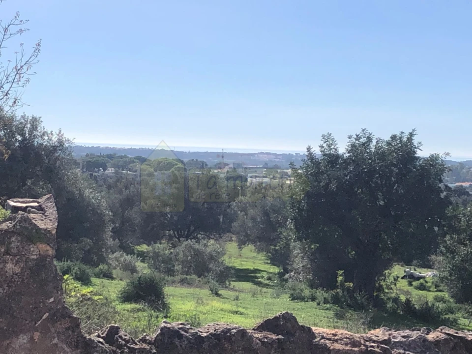Terreno para Venda em Boliqueime Foto 1