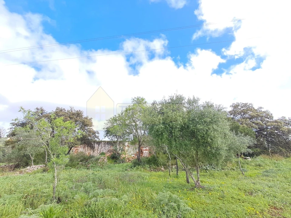 Terreno para Venda em Santa Barbara de Nexe Foto 1