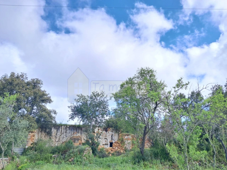 Terreno para Venda em Santa Barbara de Nexe Foto 2